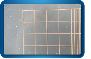 Cell viability assessment (microbiology) Cell viability assessment (microbiology)